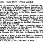 British Florist 1840
